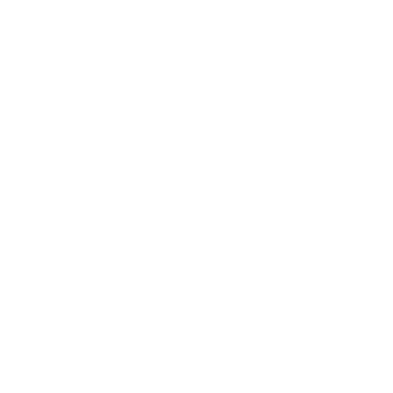 logo shine